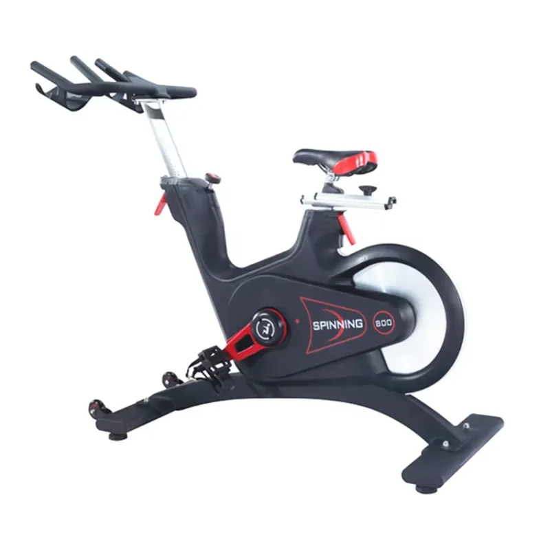 Cyclette Professionale con Res - Home Gym Fitness recensione e prezzo