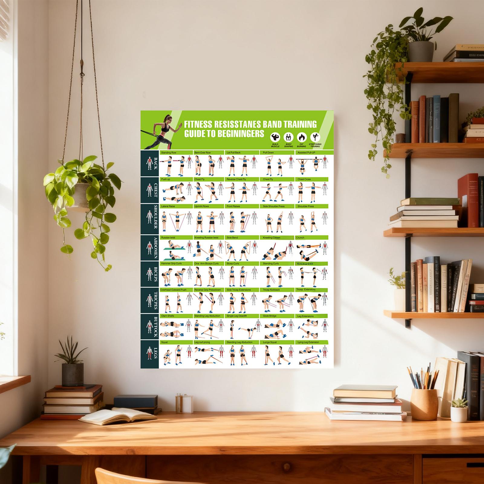 Poster di Allenamento con Band - Home Gym Guide recensione e prezzo