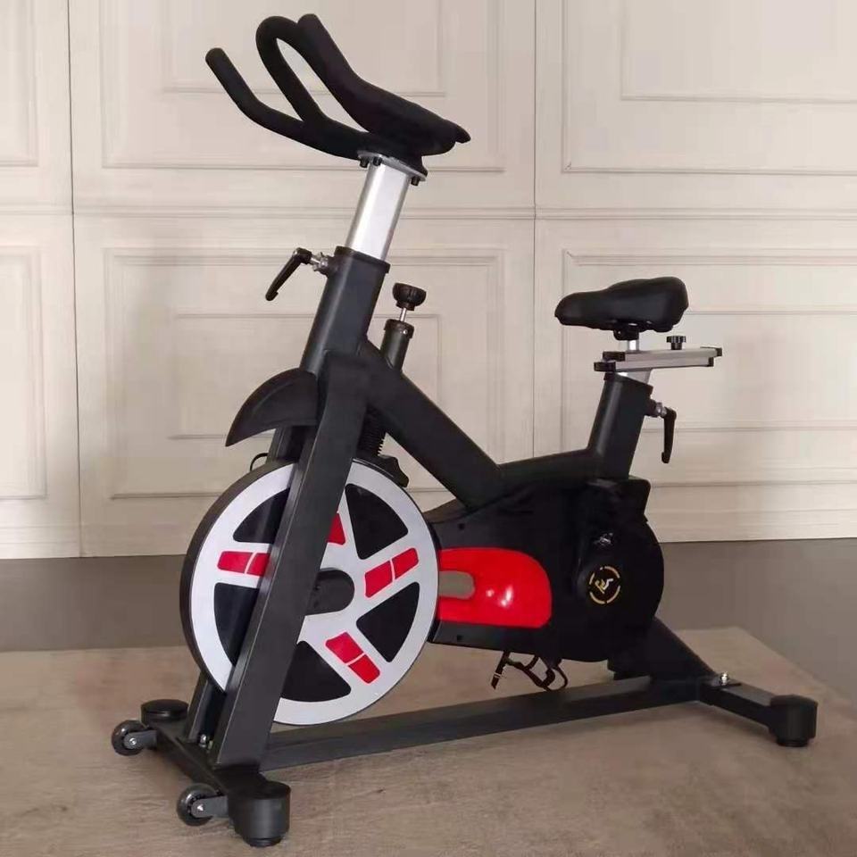 Cyclette verticale magnetica p - Home Gym Fitness recensione e prezzo