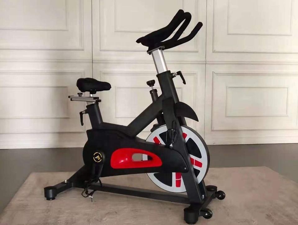 Cyclette verticale magnetica p - Home Gym Fitness recensione e prezzo